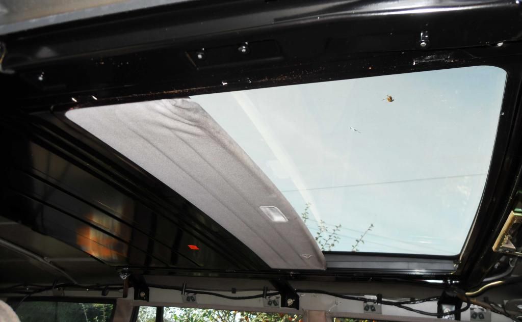 Removal of Sunroof Shade / Blind